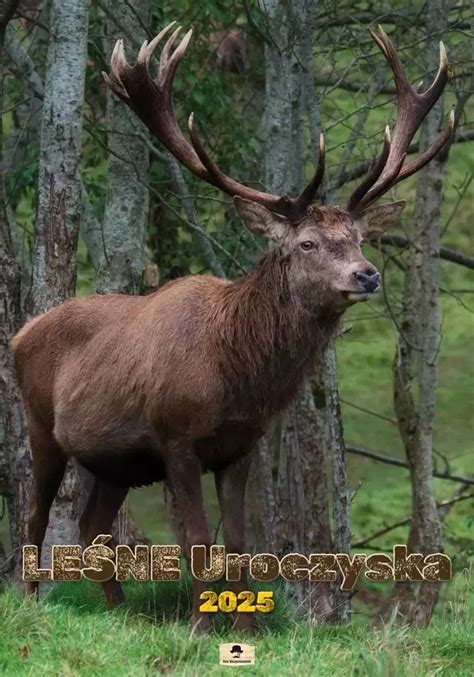 Kalendarz A ścienny Hot Girls Pan Kalendarzyk