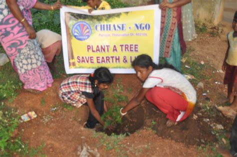 Plant A Tree Save Earth And Lives Globalgiving