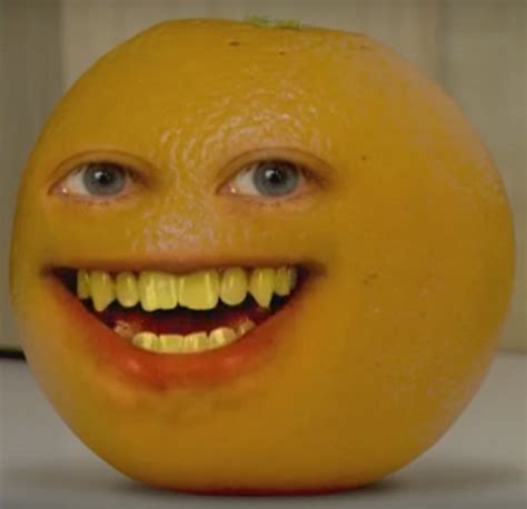 image  annoying orange zachary     png annoying