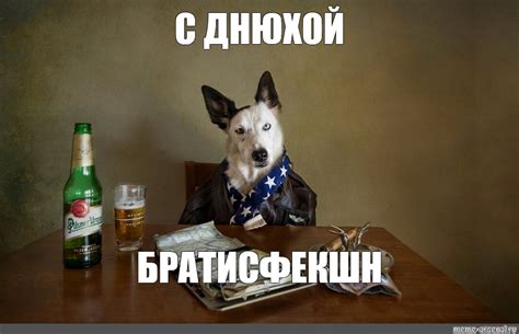 Создать мем "фото собаки с бутылкой вина, собака с пивом мем, собака ...