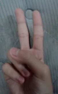 Hate You Fuck You Hate You Fuck You Middle Finger Discover Share Gifs