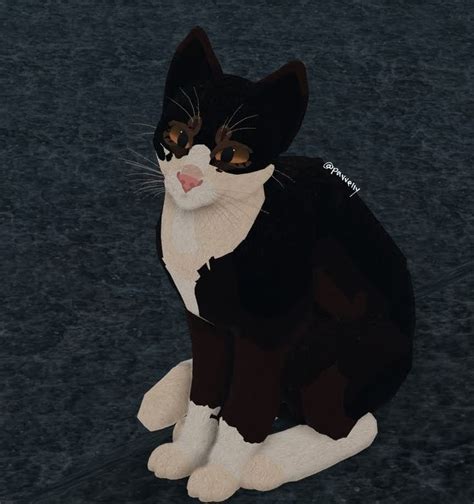 Tuxedo Cat Black And Cream Wcue Morph 🤵🏻 In 2024 Kunst