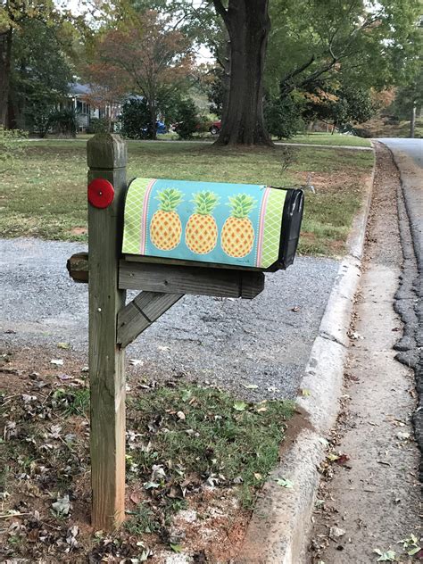 My neighbors mailbox : r/KnightsOfPineapple