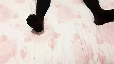 V Deos De Creadores De Porno Transexual De La Transexual Sexytranny Desnudos Amateur Gratis