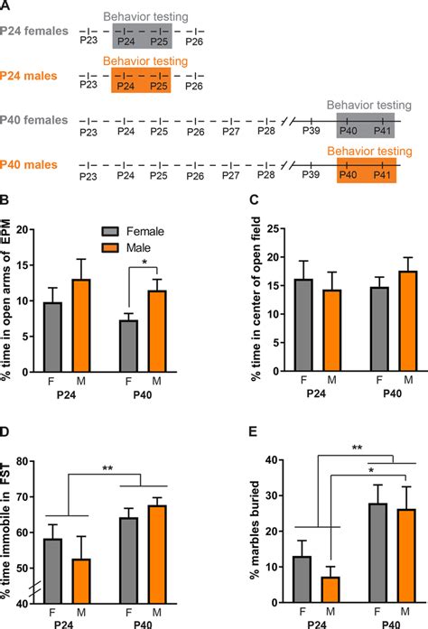 Age Sex And Gonadal Hormones Differently Influence Anxiety And Depression Related Behavior