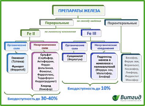 Лучшие витамины с железом — 🏆 Рейтинг с ценами