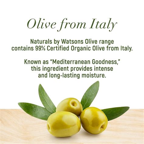 Naturals Ws Olive Hair Oil 100ml Watsons Philippines