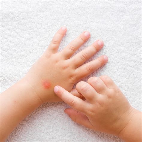 Babe By Hatch Your Support System For Pregnancy Motherhood And Beyond