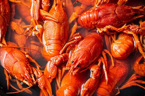 When Is Crawfish Season In Louisiana Crawfish Season Facts Louisiana