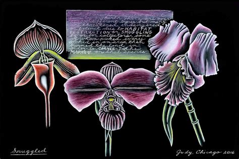 Feminist Artist Judy Chicago Confronts Aging And Death A Womens Thing