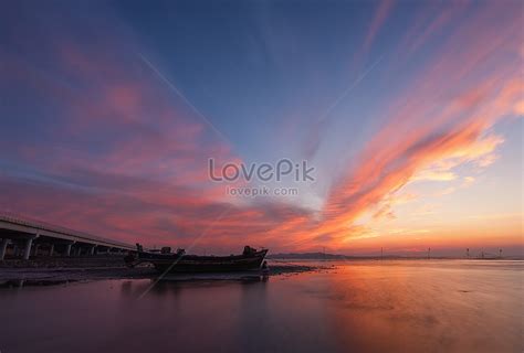 The Crimson Wing Picture And Hd Photos Free Download On Lovepik