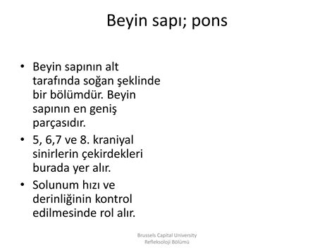 SİNİR SİSTEMİ ANATOMİSİ Esat Başaran Akademi PPT Free Download