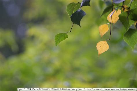 Эра-12 125/4, обзор объектива от читателя Радоживы | Радожива
