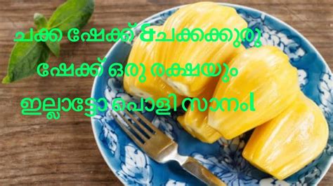 Jackfruit Shake And Jackfruit Seed Shake ചക്ക ഷേക്ക് Andചക്കക്കുരു ഷേക്ക് പൊളി സാനംl Youtube