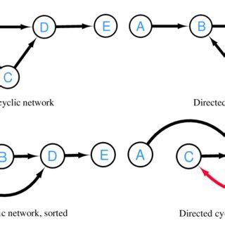 examples  acyclic  cyclic networks  scientific diagram