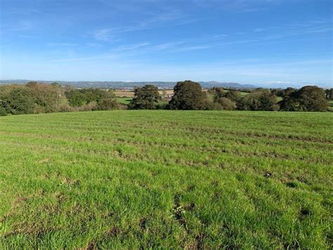 For Sale Approx 97 Acres Of Prime Agricultural Lands Off Ballygowan