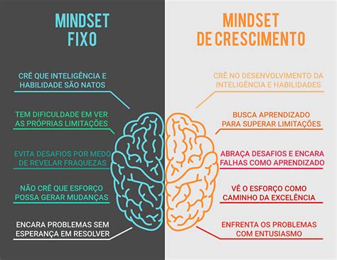 Mindset A Nova Psicologia Do Sucesso