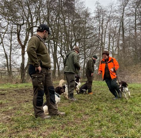 Letztes Treffen der Welpen Junghundgruppe Kreisgruppe Bad Dürkheim