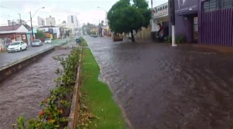 Temporal Alaga Ruas Derruba 55 árvores E Deixa 10 Mil Casas Sem