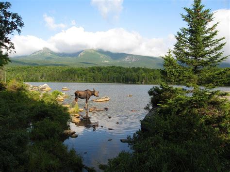 10baxter State Park Maine Wiys When In Your State