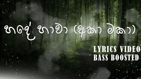 Hande Hawa හදේ හාවා අකා මකා Janith Iddamalgoda 🎵lyric Video🎵