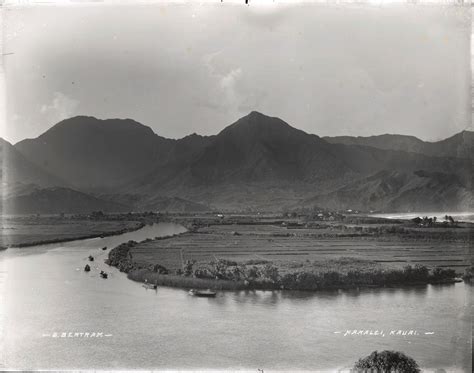 Kauai Buy and Sell | Facebook