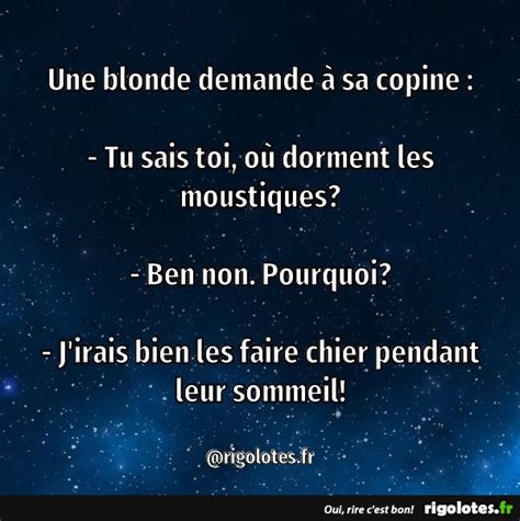 Une Blonde Demande Sa Copine Blagues Et Les Meilleures Images Dr Les