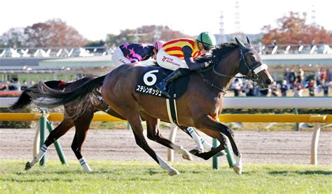 【注目馬動向】ステレンボッシュはルメール騎手との新コンビで阪神jfへ Umatoku 馬トク