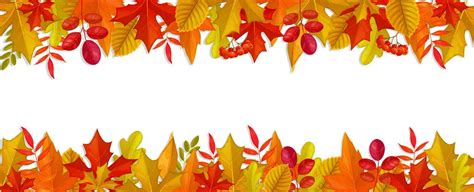 Frame with stripes of autumn leaves and berries 23543560 Vector Art at ...