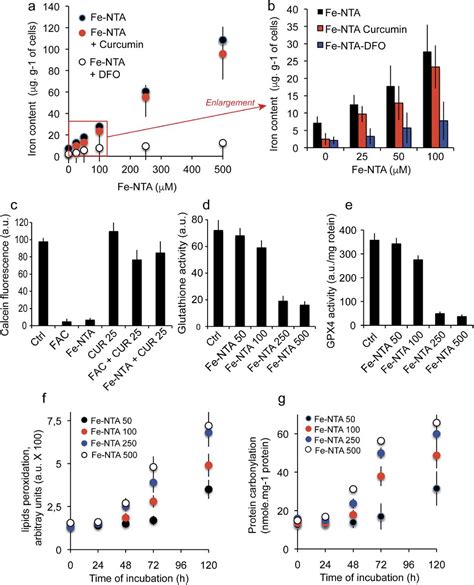 Glutathion Peroxidase Gpx Activity Determination Abcam Bioz