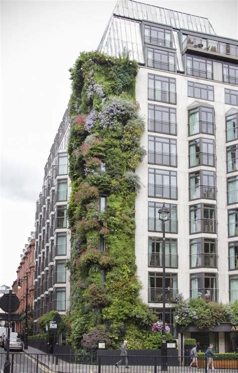 Вертикальное озеленение | Озеленение фасада, Озеленение, Дизайн сада