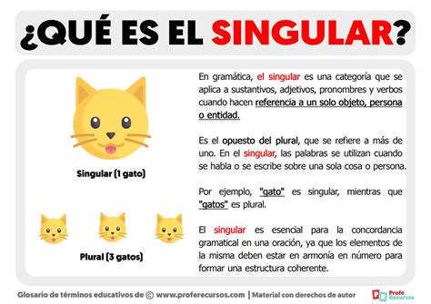 es el singular definicion de singular