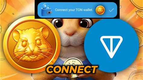 Connect TON Wallet With Hamster Kombat Token Airdrop YouTube