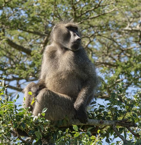 St Lucia South Africa added a new... - St Lucia South Africa