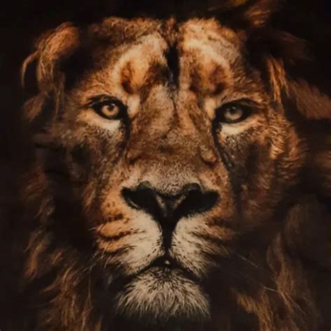 Sprut Free Solo Man Porn Video Xhamster