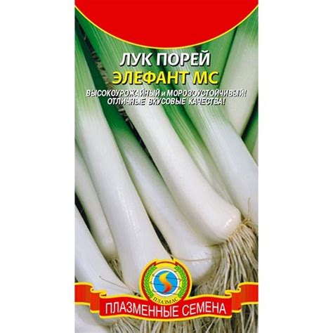 Лук порей Элефант - купить семена в Украине дешево | Florium.ua