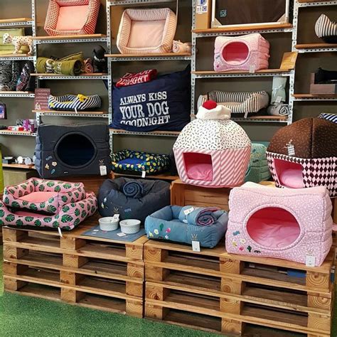 Dono De Franquia De Lingerie Quer Transformar Pet Shop De Luxo Em Nova Rede Artofit