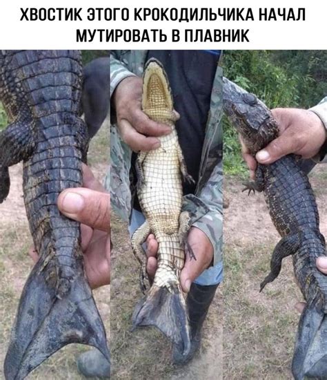 Так...Поржать... | Страница 1629 | Амурский Берег - территория ...