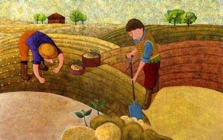 Literatura Infantil El Campesino Y Sus Hijos