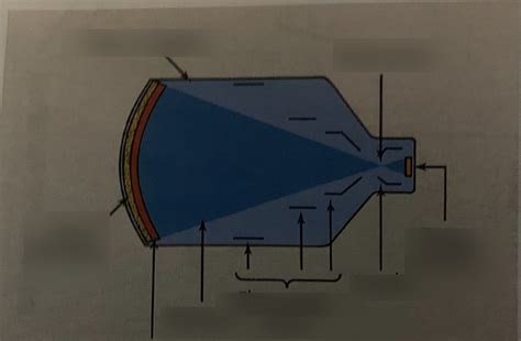 II Labeling Diagram | Quizlet 
