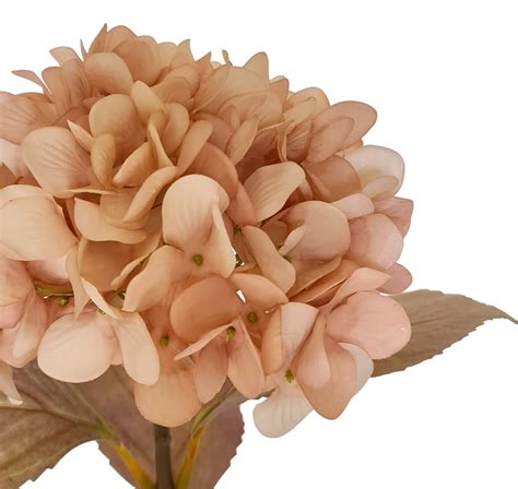 Romance Artificial Hydrangea CmL Nude Floral Craft