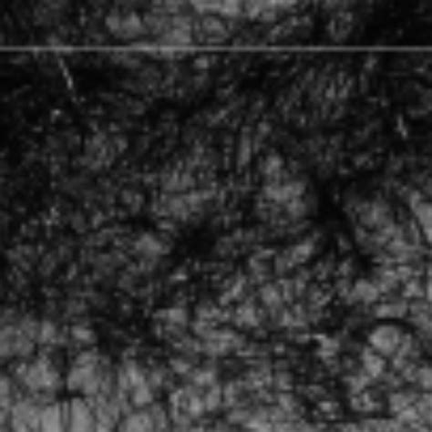 Horny Mature Brunette Miho Wakabayashi Got Fucked Hard XHamster