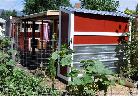 duck house part  mtdawn