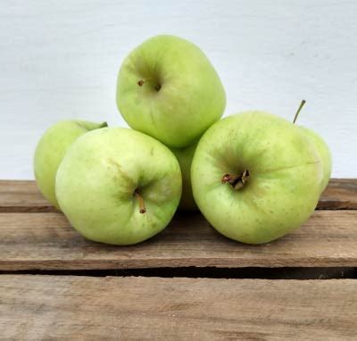 Ginger Gold Apples – Homegrown | The Citrus Tree Fresh Produce Market