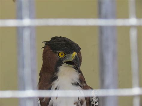 Cheap Things To Do Around Boise | Nonstop from JFK