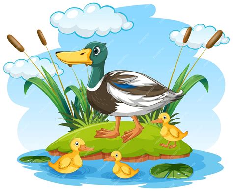 Мультфильм дикая утка с утенком | Бесплатно векторы
