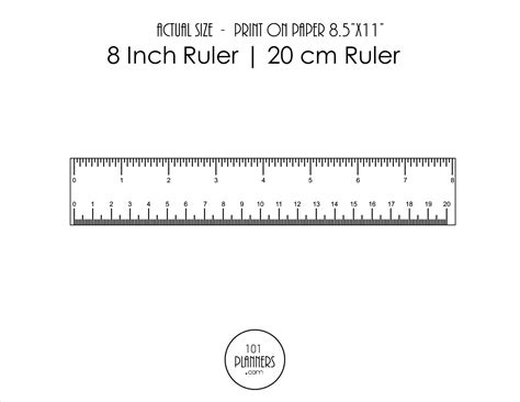 inches ruler worksheets library