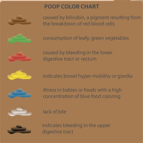 Stool Colour Chart For Adults A Visual Reference Of Charts Chart Master