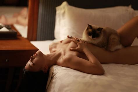 General Collection 1 9 Porn Pic