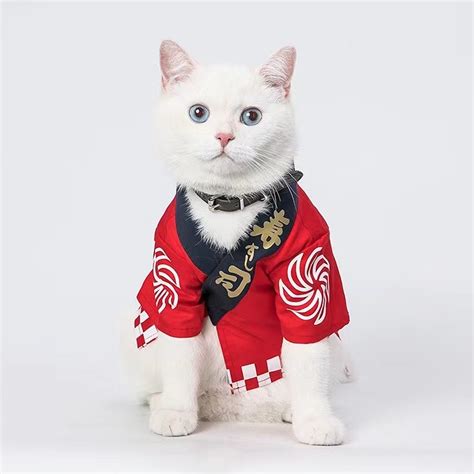 Cat Clothing – Tagged "cat clothes"– Petpaule